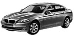 BMW F10 B22A4 Fault Code